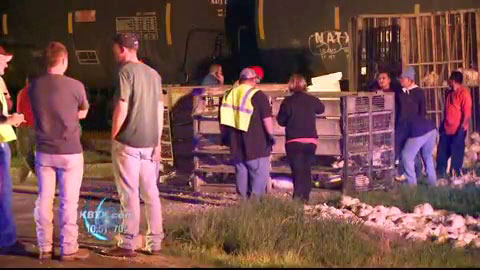 A trucker was injured and had to be taken to the hospital following a collision with a BNSF train in North Zulch, TX late Monday night on March 18, 2013. The truck was loaded with live chickens.